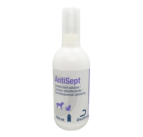 AntiSept spray désinfectant chlorhexidine des plaies chien chat - DECHRA