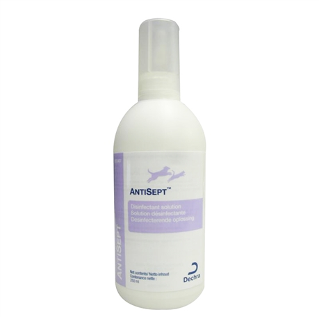 Antisept Spray Desinfectant Chlorhexidine Des Plaies Chien Chat Dechra