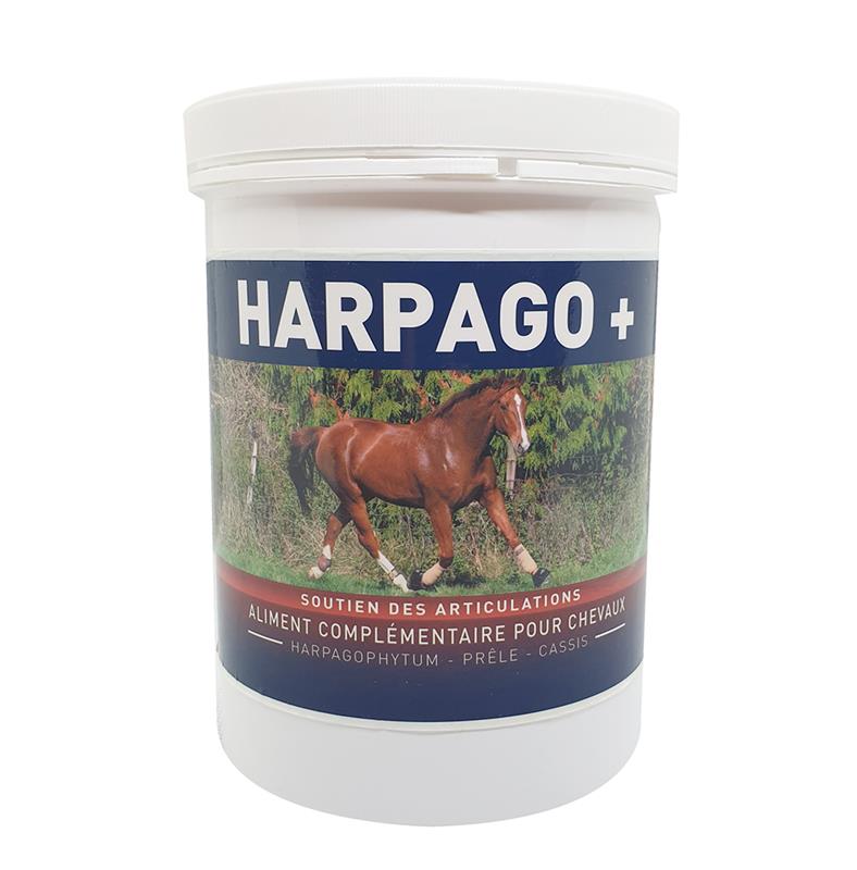 HARPAGO + supplément nutritionnel articulation cheval de sport - Greenpex