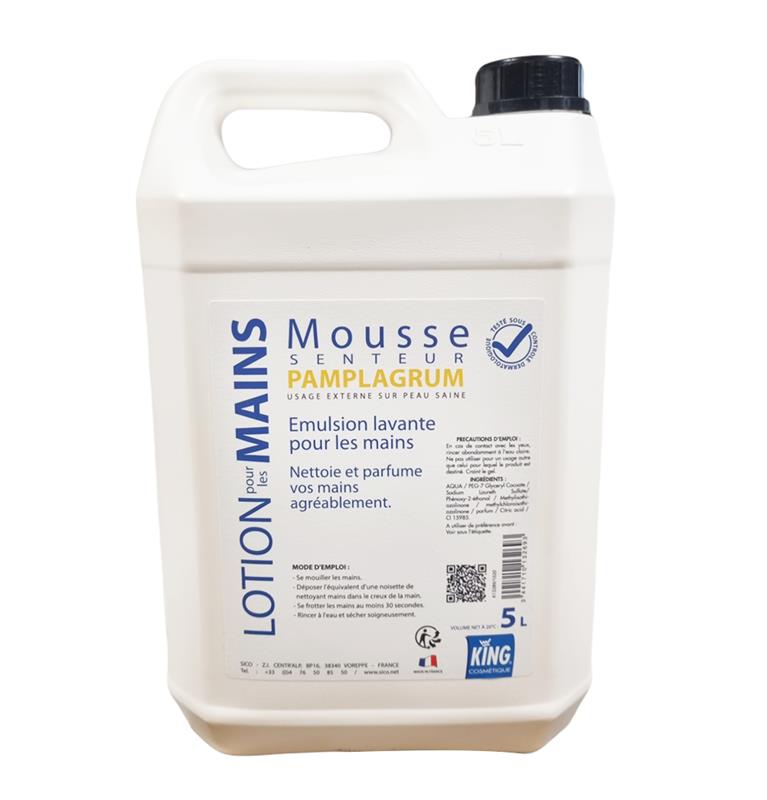 Savon mousse mains parfum pamplagrum 5 litres - King