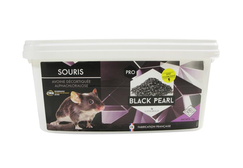 Appât foudroyant souris céréales Alphachloralose BLACK PEARL GRAIN