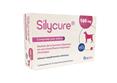 Silycure 160mg 75 cps