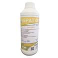 HEPAT´OR