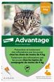 Advantage 40 chat - 4 kg