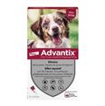 ADVANTIX chien 10-25 kg