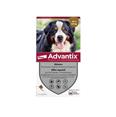 ADVANTIX chien 40-60kg