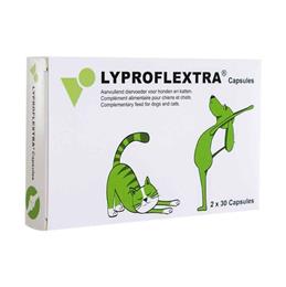 LYPROFLEXTRA 60 cps