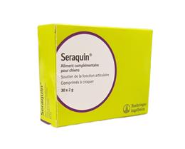 Seraquin chien