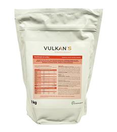 VULKAN S désinfectant