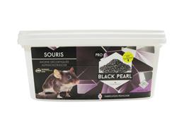 Black pearl GRAIN souris 1kg