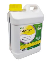 Lysabion vache laitière